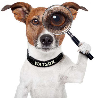 Watson the Watchdog